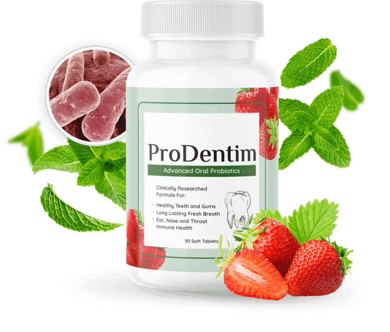 prodentin supplement